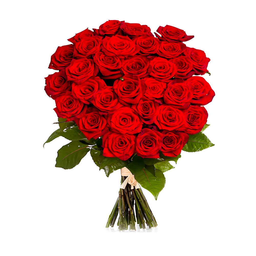 Un bouquet somptueux de roses rouges écarlates, soigneusement assemblées en un arrangement touffu et parfaitement symétrique. Les roses, d'un rouge profond et passionate, sont accompagnées de feuilles vertes fraîches, liées ensemble par un ruban délicat, symbolisant l'amour et la passion, créé par Fleursdumaroc.