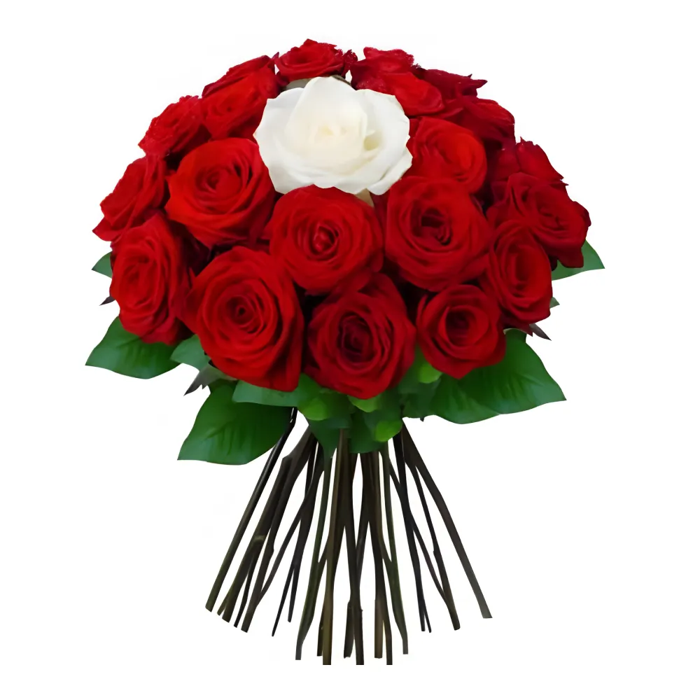 Magnifique bouquet rond de roses rouges passionnées avec une rose blanche unique au centre, entouré d'un feuillage vert intense, créé par Fleursdumaroc. Cette composition symbolique représente un amour unique et précieux au milieu de la passion, parfaite pour exprimer des sentiments profonds ou pour une occasion romantique spéciale.