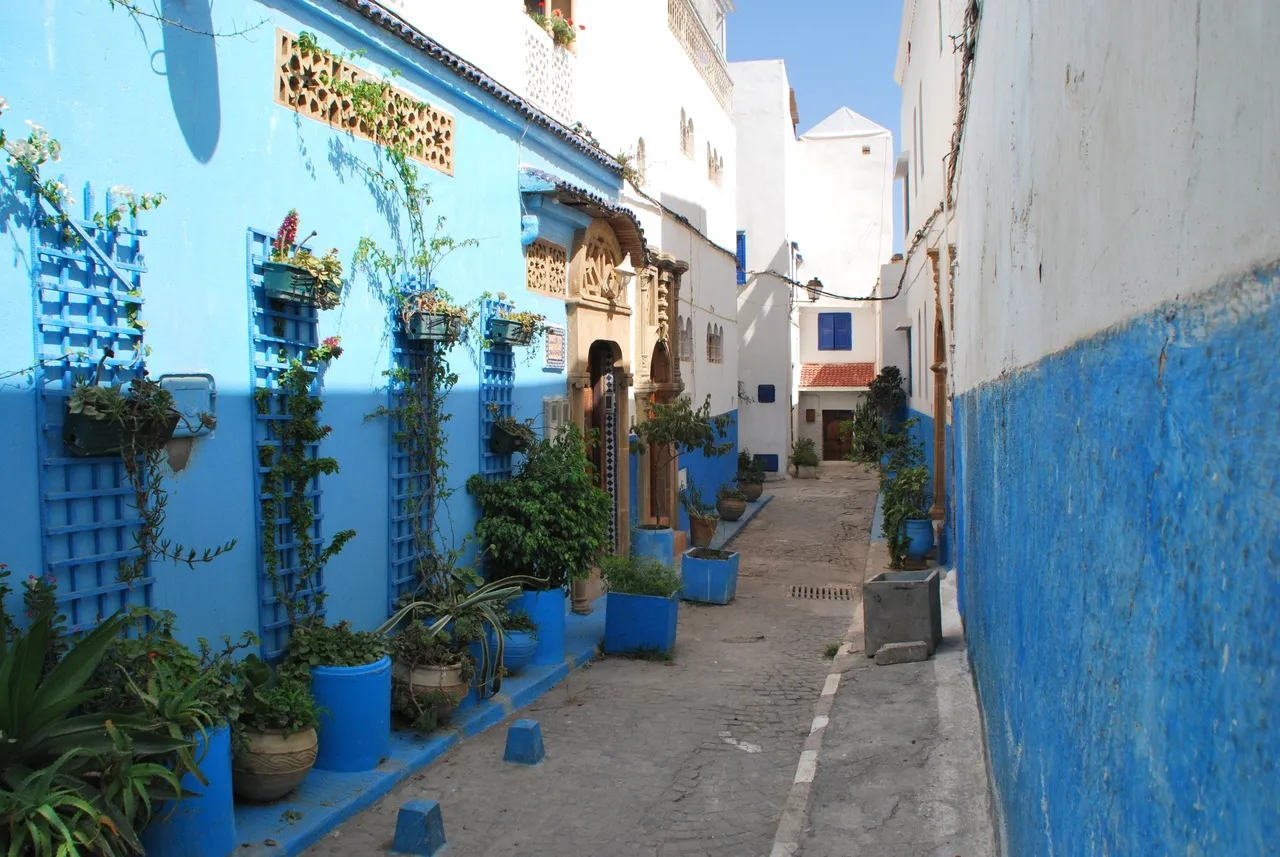 Une étroite ruelle pittoresque dans la ville bleue de Chefchaouen, au Maroc. Les murs sont peints en bleu vif, avec des plantes en pot bleues et vertes qui décorent les façades. Le passage étroit est pavé, bordé de murs blancs et bleus, créant une atmosphère méditerranéenne paisible et colorée.