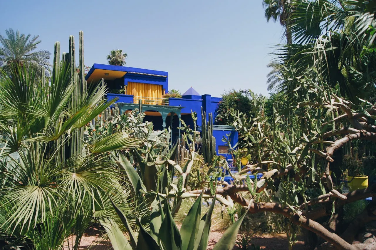 Un bâtiment bleu électrique emblématique du Jardin Majorelle à Marrakech, caché parmi une végétation luxuriante de palmiers, de cactus et de plantes tropicales. L'architecture audacieuse contraste avec le vert intense de la végétation, créant une composition visuelle inspirée de l'héritage artistique marocain